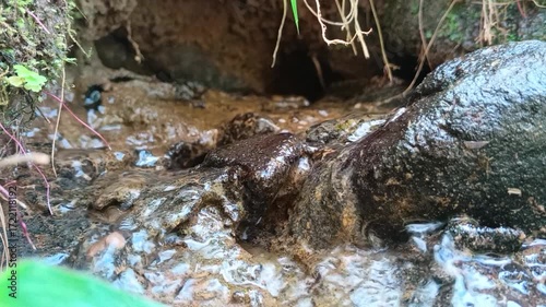 Serene Creek: A Close-Up of Nature's Gentle Flow