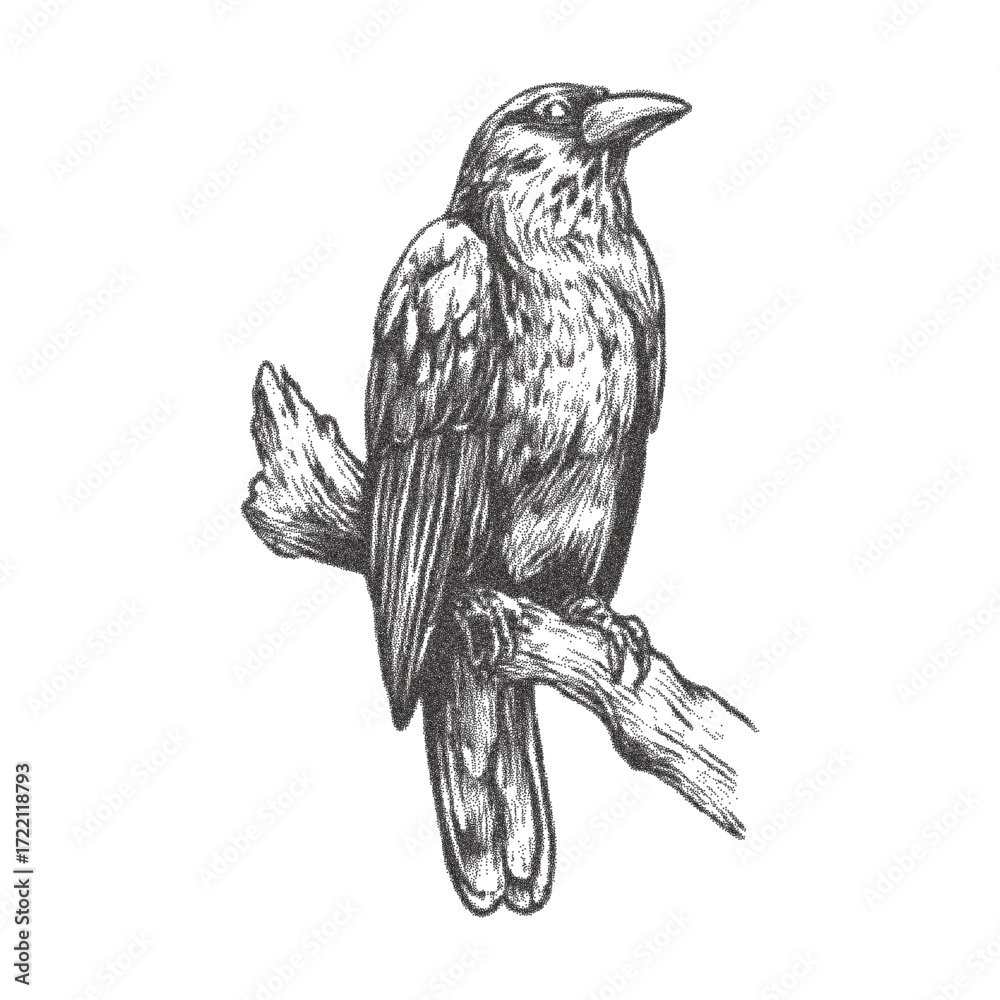 Fototapeta premium Vintage halftone engraving of raven perched on branch, stippling photocopy texture with grunge and retro effect, gothic crow vector illustration for dark mystical design projects