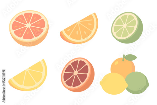 Citrus Fruit Variety. Isometric vector illustration set Citrus Variety for Juicing: pink grapefruit halved with bright flesh,