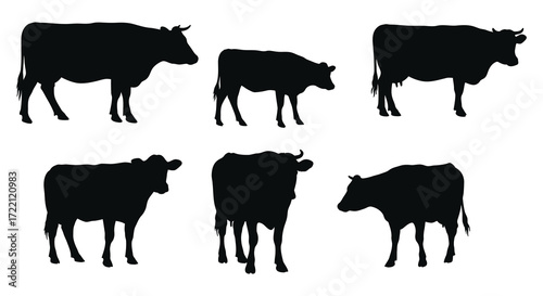 Silhouettes of six cows in various poses against a white background
