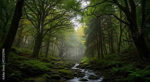 Lush Jungle and Rainforest Scenic Backgrounds with Tropical Nature