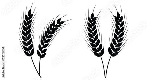 Simple black and white illustration of four wheat stalks on white