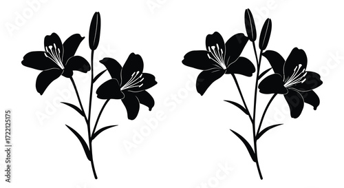 Elegant black and white illustration of lily flowers with slender stems