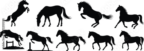 Silhouette horse illustration collection, running stallions, rearing horses, grazing ponies, jumping equine artwork, animal vector design for farm, ranch, and wildlife themes