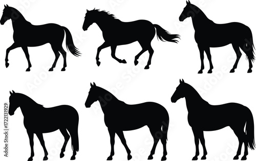Vector collection of horse silhouettes, standing and walking stallion poses, black equine shapes, pony clipart, wild animal design elements for artwork illustration