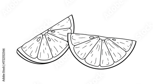 Simple line drawing of two orange slices isolated on a white background