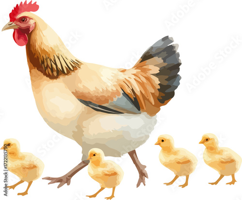 Watercolor vector illustration a hen with chickens.