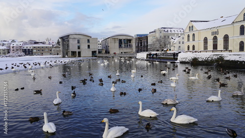 Reykjavik Iceland winter