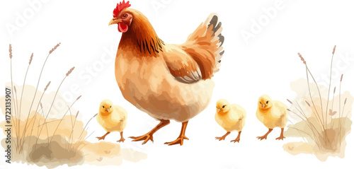 Watercolor vector illustration a hen with chickens.