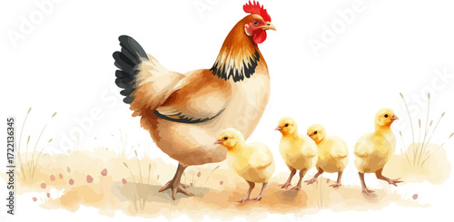 Watercolor vector illustration a hen with chickens.
