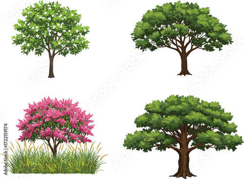 Green leafy tree, broad canopy tree, pink flowering tree, tall grass patch, lush vegetation illustration, nature landscape, botanical diversity scene