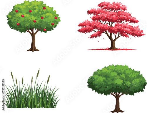 Apple tree with red fruit, autumn foliage tree, green grass field, lush green tree, seasonal vegetation illustration, nature botanical landscape