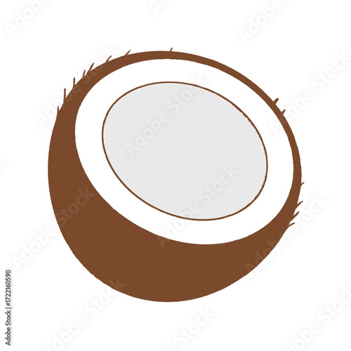 Coconut Half Simple Style Brown Shell White Flesh Tropical Fruit Isolated