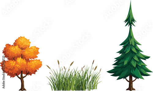 Autumn tree with orange leaves, tall green grass with seed heads, evergreen pine tree, seasonal vegetation illustration, nature landscape, botanical diversity scene