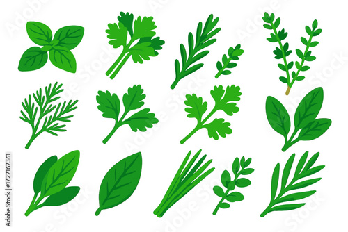 Colorful Herb Icons. Isometric vector illustration set Fresh herbs: basil leaves, parsley bunch, rosemary sprig, thyme bundle,