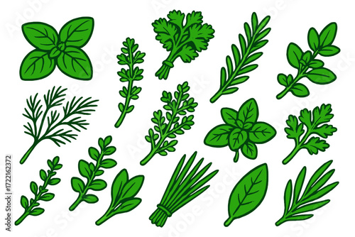 Colorful Herb Icons. Isometric vector illustration set Fresh herbs: basil leaves, parsley bunch, rosemary sprig, thyme bundle,