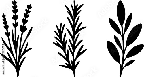 Minimalist black and white branch design element for digital art projects