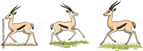 Gazelle illustration, graceful animal movement, desert wildlife pose, cartoon gazelle walking, nature theme, vector drawing, horned mammal, savanna character, running gazelle