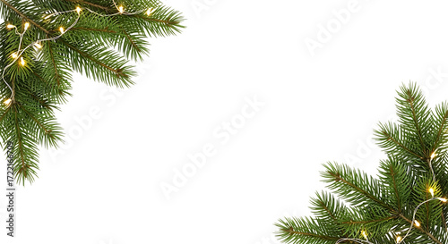Christmas tree branch with fairy light isolated on transparent background for decoration