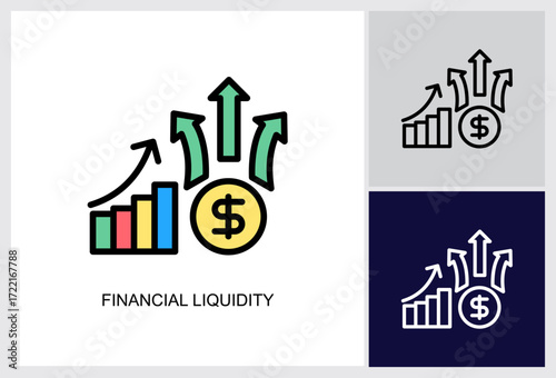 Financial Liquidity icon Multi Style Vector Illustration 