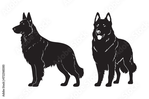 Two black german shepherd dogs standing side by side