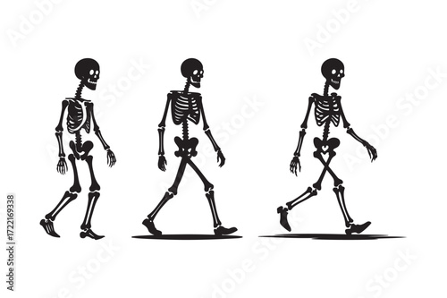 Three skeletons walking in sequence