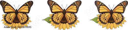 Monarch butterfly on sunflower, vibrant nature illustration, summer garden scene, wildlife art, floral background, insect closeup, decorative print, seasonal design
