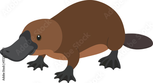 Illustration of a brown platypus with black feet and beak standing on a white background