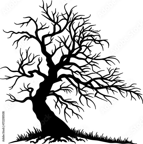 Silhouette of Winter Tree