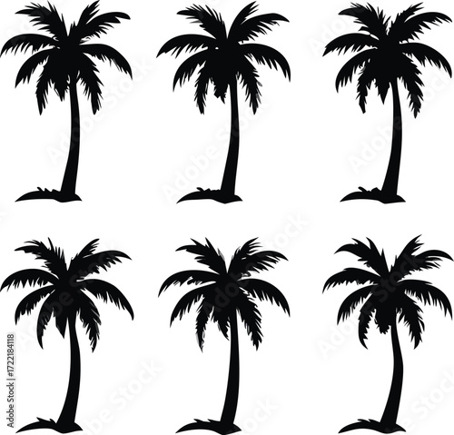 Black Silhouette Palm Trees Graphic Illustration for Summer Theme