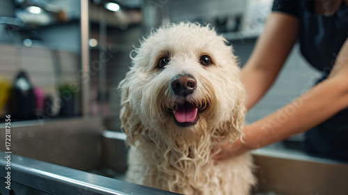 Happy Doodle Dog Enjoying Bath Time