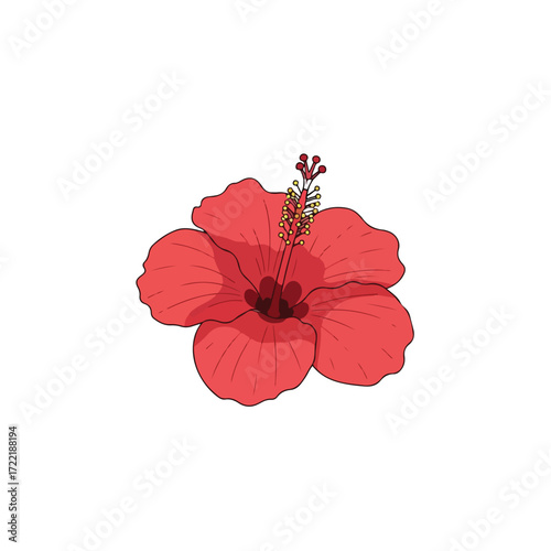 Vibrant Red Hibiscus Flower Blossom.