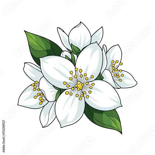 Artistic illustration of a blooming white jasmine flower cluster.