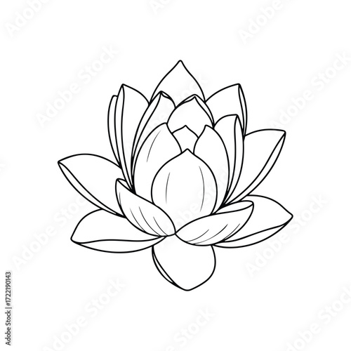Elegant Lotus Flower Illustration - A Symbol of Purity and Enlightenment.