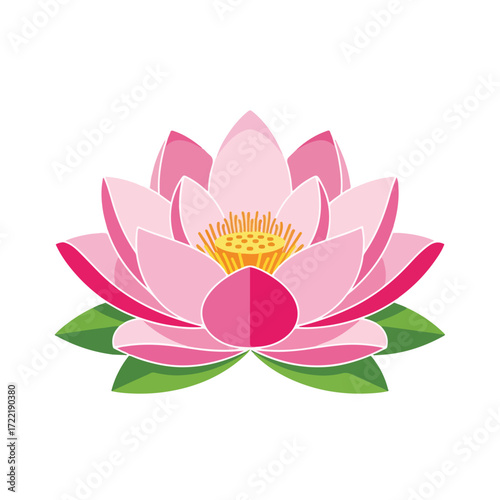 Beautiful Pink Lotus Flower Blossom Isolated on White Background.