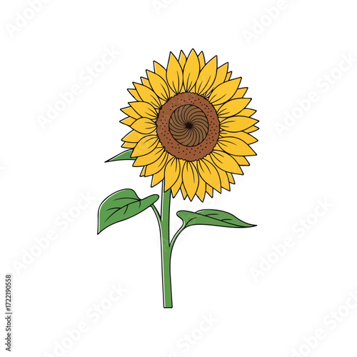Vibrant sunflower illustration showcasing detailed petals and stem against white backdrop.