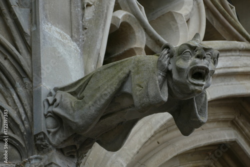 Medieval stone carvings of Gargoyles of the Basilique Saint-Nazaire in Carcassonne, Aude, France