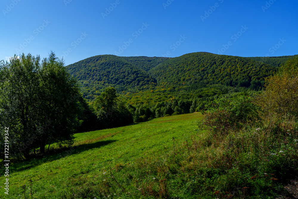 Naklejka premium Sunny Green Mountain Landscape