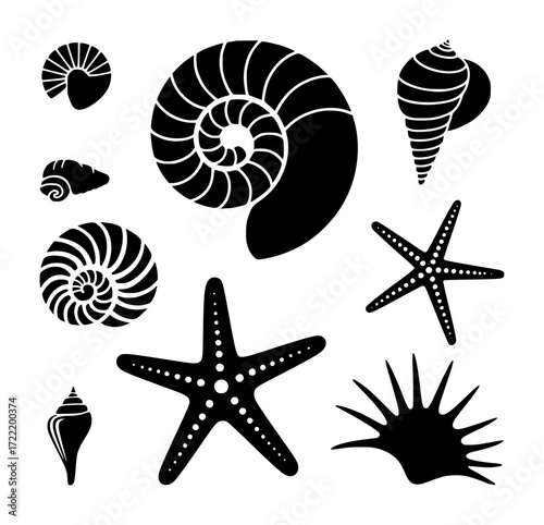 Collection of Black and White Seashell and Starfish Silhouettes