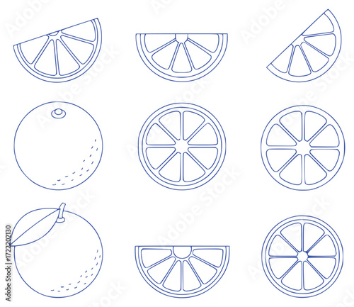 Collection of Orange Slices and Whole Oranges in Blue Outline