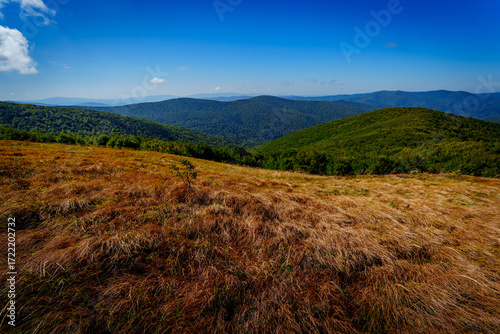 Podobny obraz