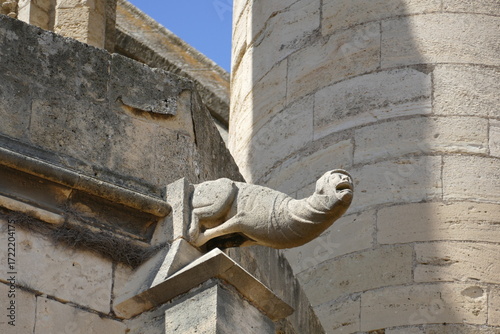 Gothic stone carvings of gargoyles on the Basilique Saint-Nazaire in Carcassonne, Aude, France.