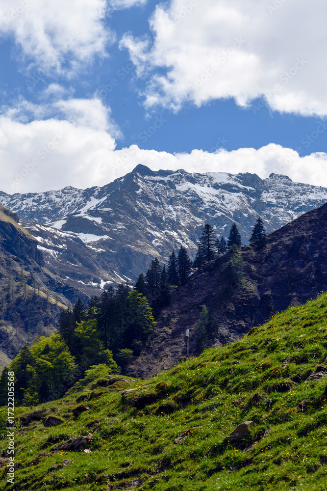 Fototapeta premium Blick von Weisstannen auf den Pizol in den Glarner Alpen, Kanton St. Gallen 