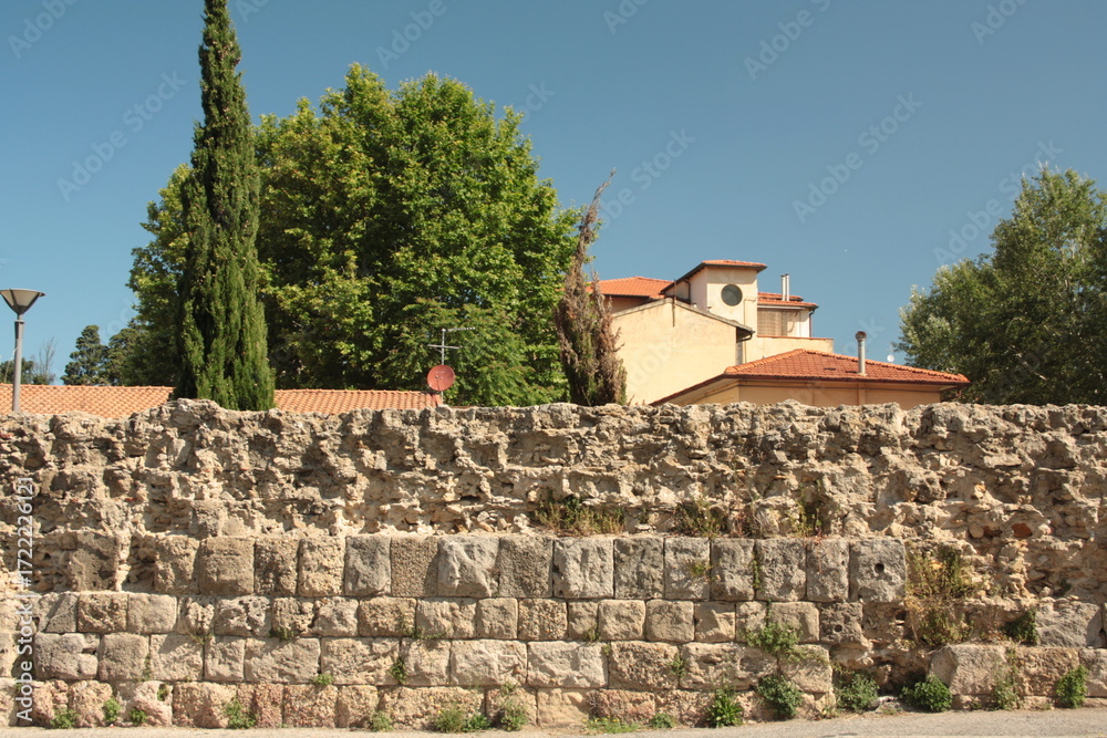 Fototapeta premium old castle in Italy 