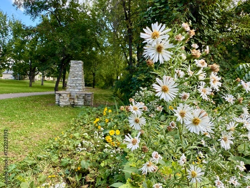White Wildflowers with stone outdoor fireplace in background