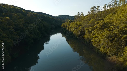 Green river in the forest. Irani river. 4K. Aerial. Drone.