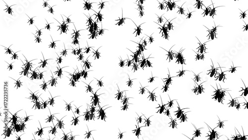 Many cockroaches isolated on transparent background