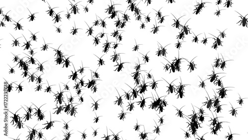 Many cockroaches isolated on transparent background