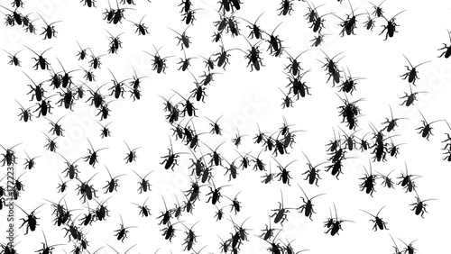 Many cockroaches isolated on transparent background