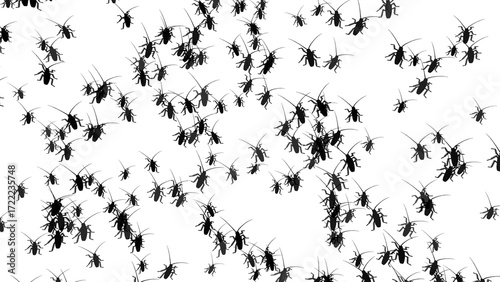 Many cockroaches isolated on transparent background